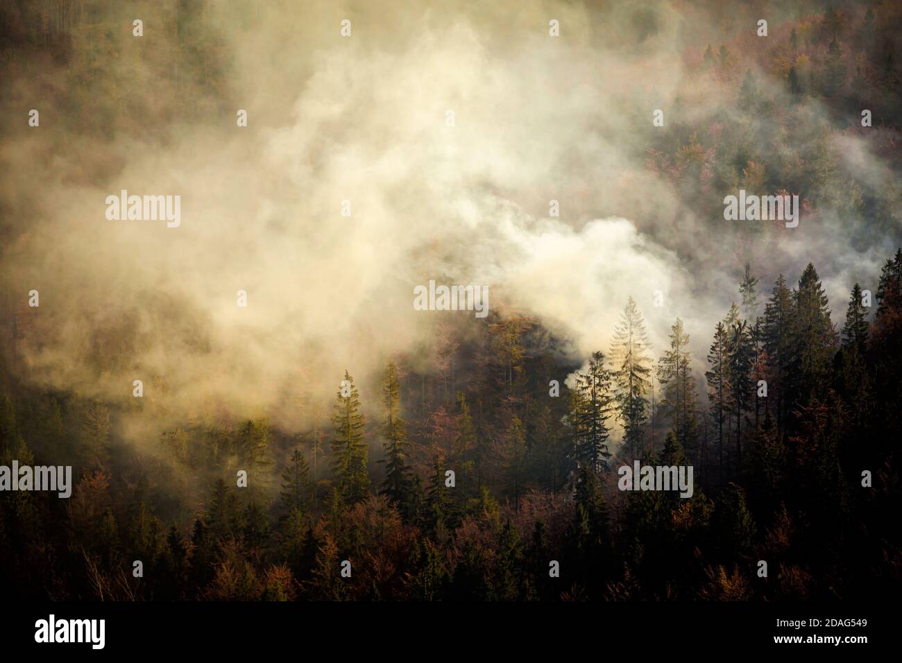 Foto d'autunno del paesaggio foggy di boschi con un fumo in polacco Beskidy montagne, sulla strada per Wielka Racza. Foto Stock