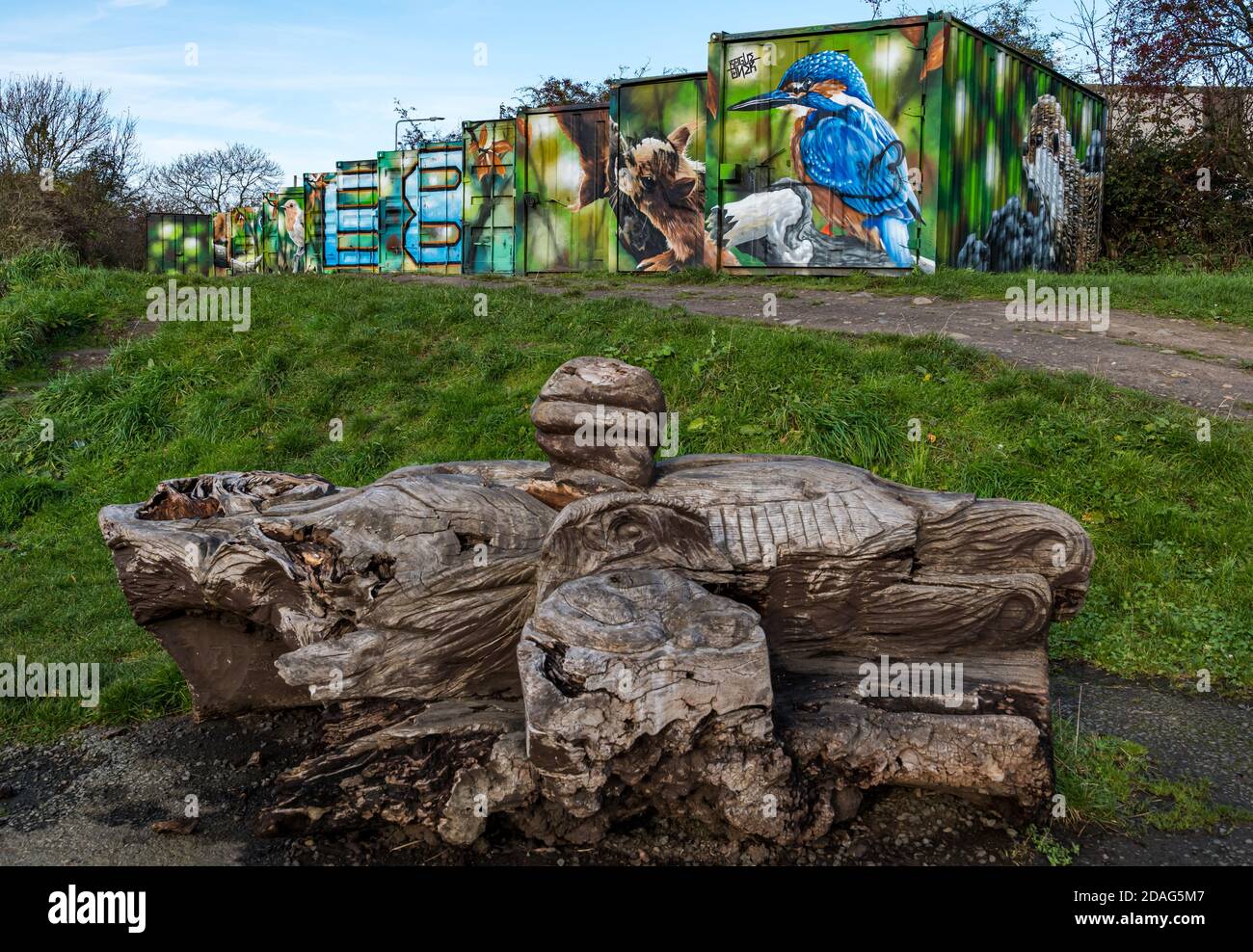 Bizzarre opere d'arte sulla fauna selvatica urbana sui contenitori per spedizioni, Calders Community Park, Wester Hailes, Edimburgo, Scozia, Regno Unito Foto Stock