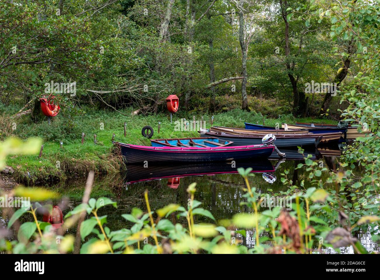 Barche da pesca su un'insenatura del lago circondata da una vegetazione lussureggiante nel Parco Nazionale di Killarney, County Kerry, Irlanda, Europa Foto Stock