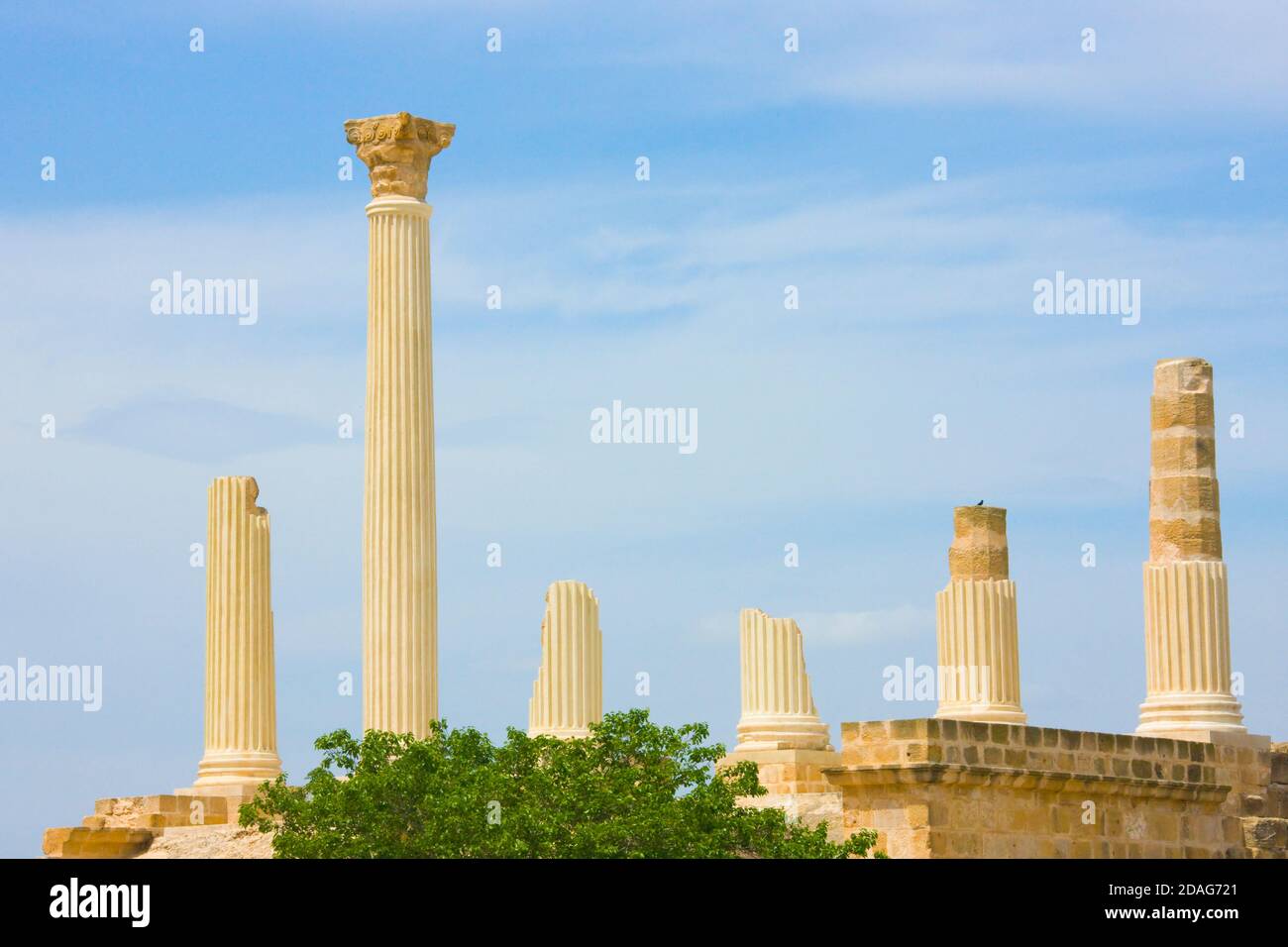 Rovine romane a Uthina (noto anche come Oudna), governatorato di ben Arous, Tunisia Foto Stock