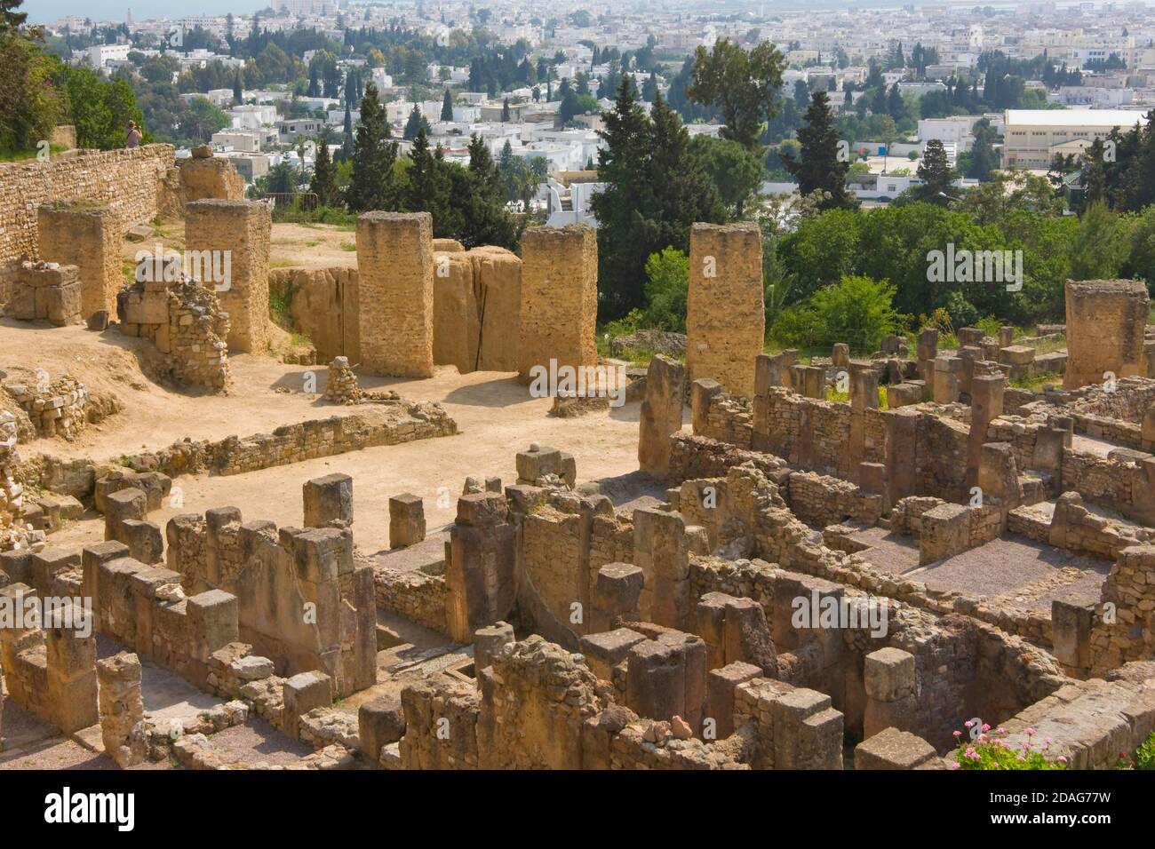 Rovine romane di Cartagine, patrimonio dell'umanità dell'UNESCO, Tunisia Foto Stock