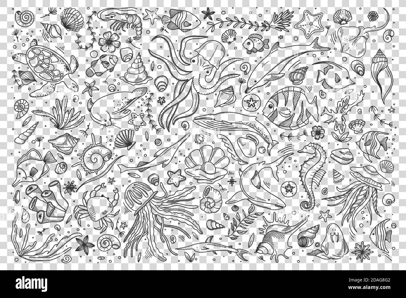 Set di doodle per la vita marina Illustrazione Vettoriale