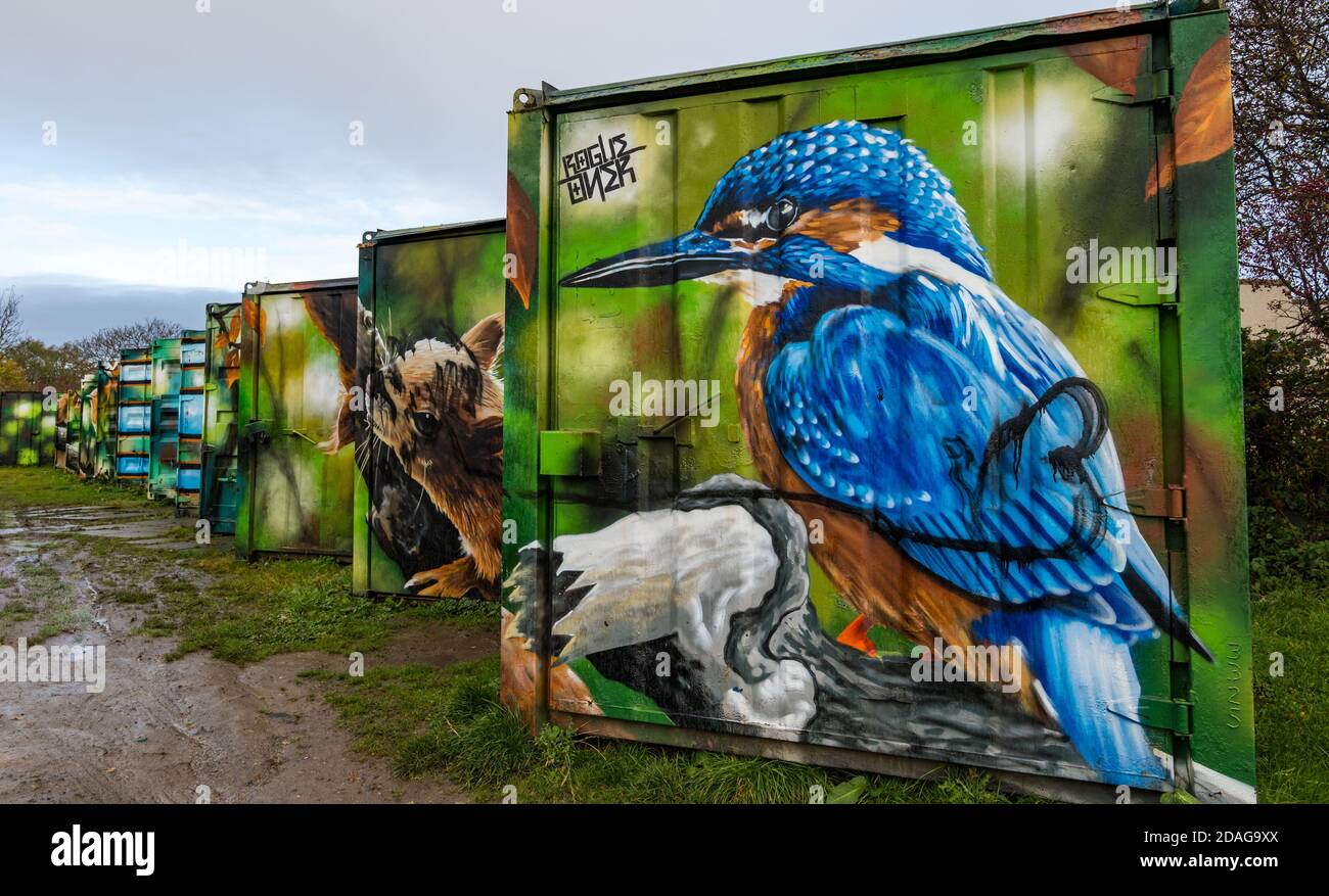 Bizzarre opere d'arte della fauna selvatica urbana del kingfisher sui contenitori di spedizione, Calders Community Park, Wester Hailes, Edimburgo, Scozia, Regno Unito Foto Stock