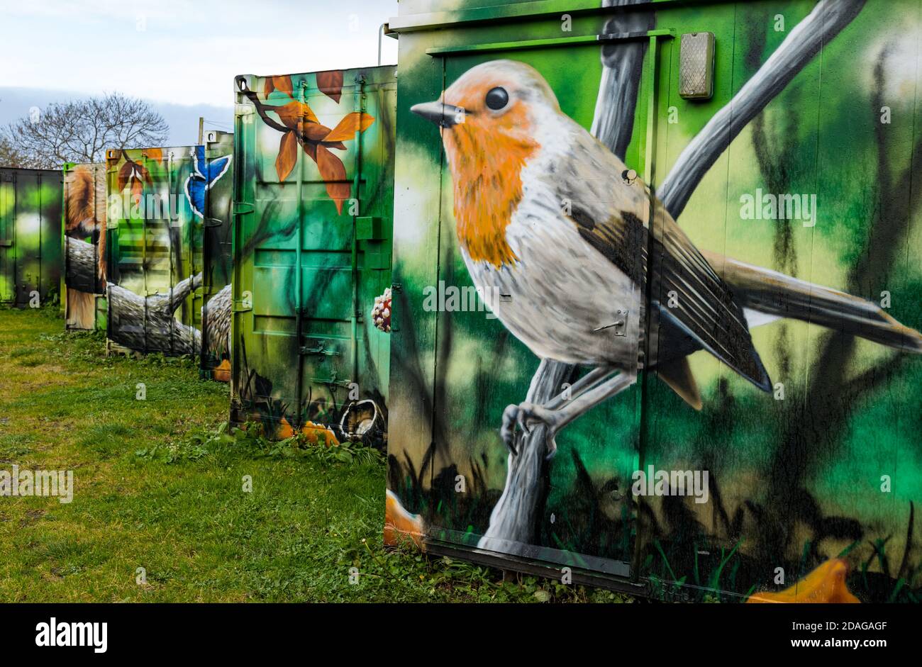 Bizzarre opere d'arte della fauna selvatica urbana di robin su contenitori di spedizione, Calders Community Park, Wester Hailes, Edimburgo, Scozia, Regno Unito Foto Stock