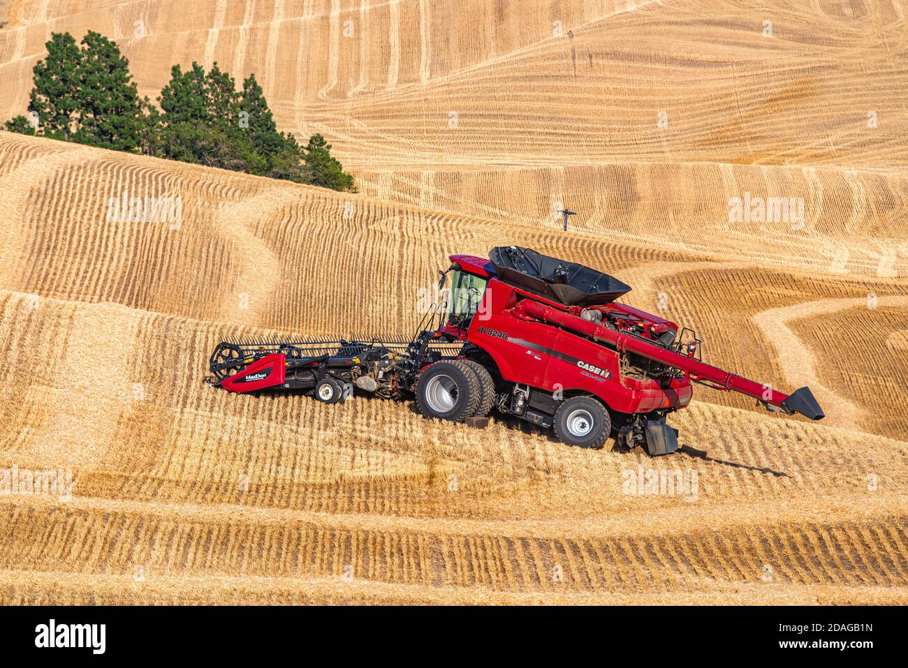 La mietitrebbia CaseIH con un assale posteriore rotto attende la riparazione in Un campo di grano nella regione di Palouse di Washington orientale Foto Stock