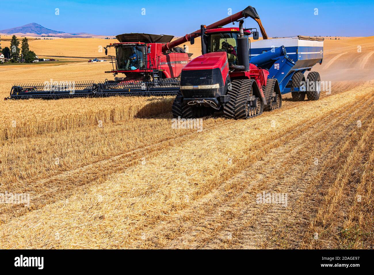 La mietitrebbia CaseIH sta scaricando la granella sul carrello granella Kinze trainato da Un trattore quadtrac nella regione Palouse di Washington Foto Stock