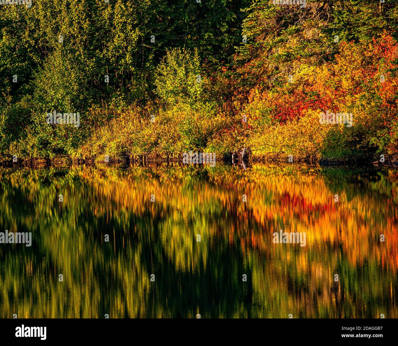 Il fogliame autunnale si riflette in Reflection Lake vicino Paradise nel Mount Rainier National Park, Pierce County Washington Foto Stock