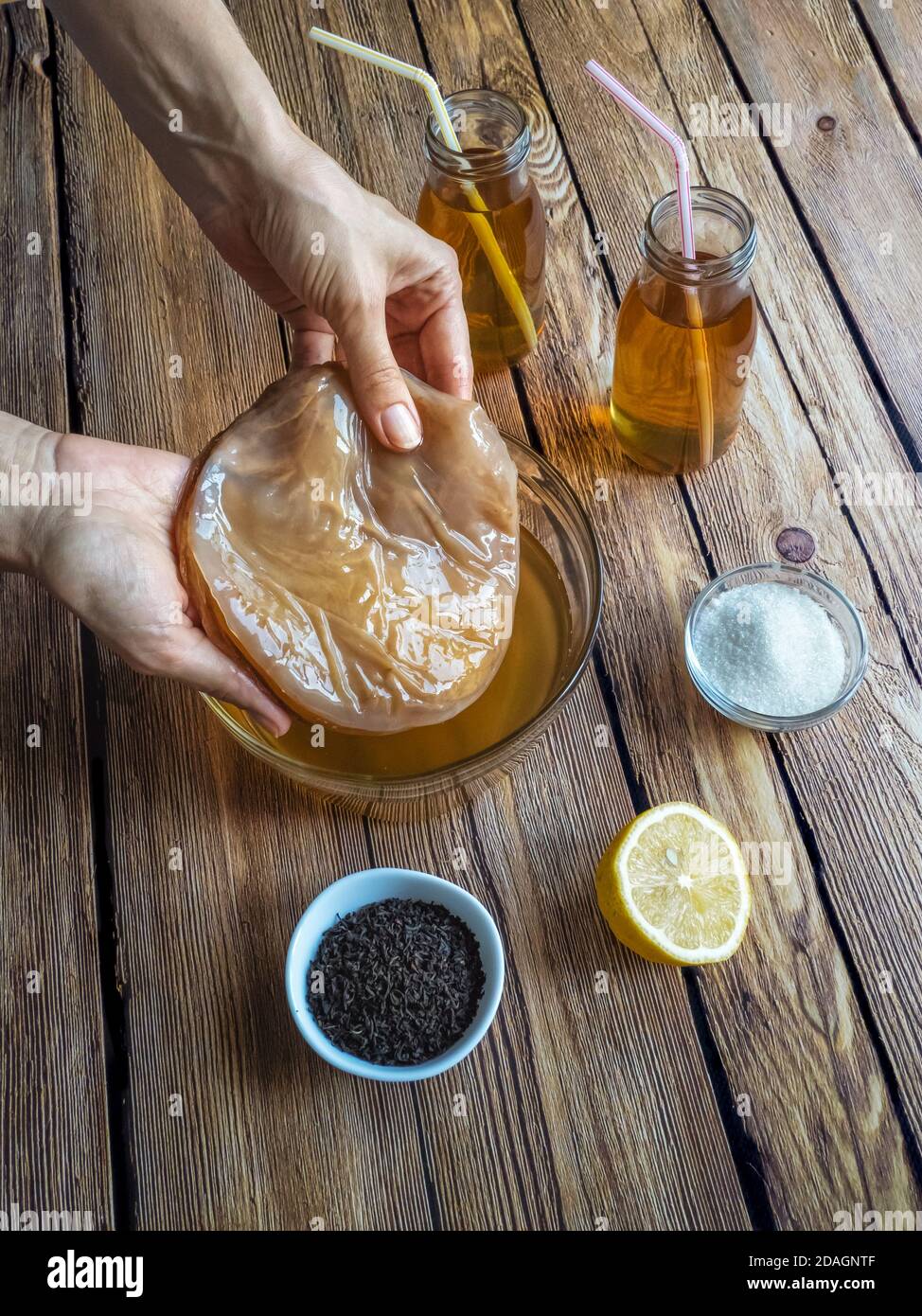 Kombucha fungo. Bevanda biologica fermentata del tè. Foto Stock