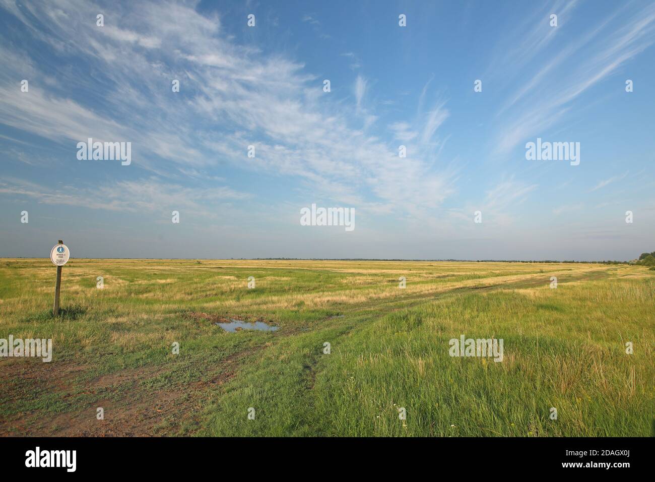 puszta a sud di Hortobagy, Ungheria, Hajdu-Bihar, Parco Nazionale di Hortobagy Foto Stock