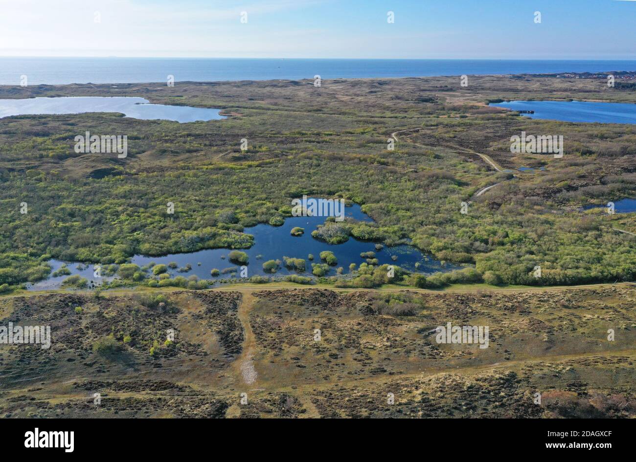 Riserva naturale Het Zwanenwater, vista aerea, Paesi Bassi, Paesi Bassi del Nord, NSG Het Zwanenwater Foto Stock