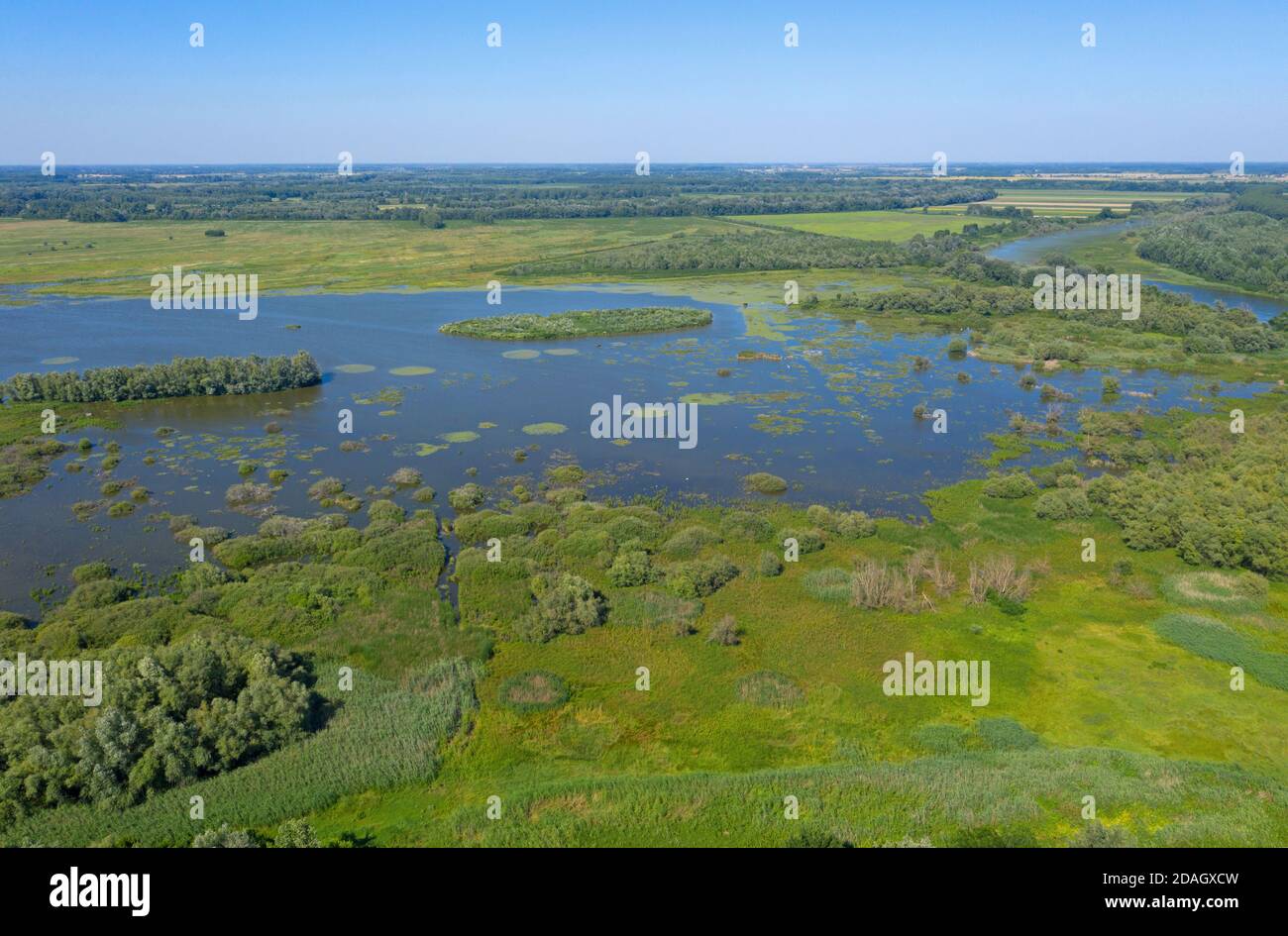 Lago Tiszaalpar, vista dalla collina della chiesa, vista aerea, Ungheria, Bacs-Kiskun Foto Stock