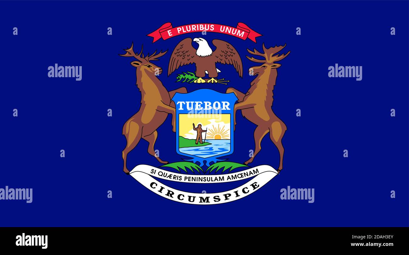 Bandiera dello stato degli Stati Uniti, Michigan Illustrazione Vettoriale
