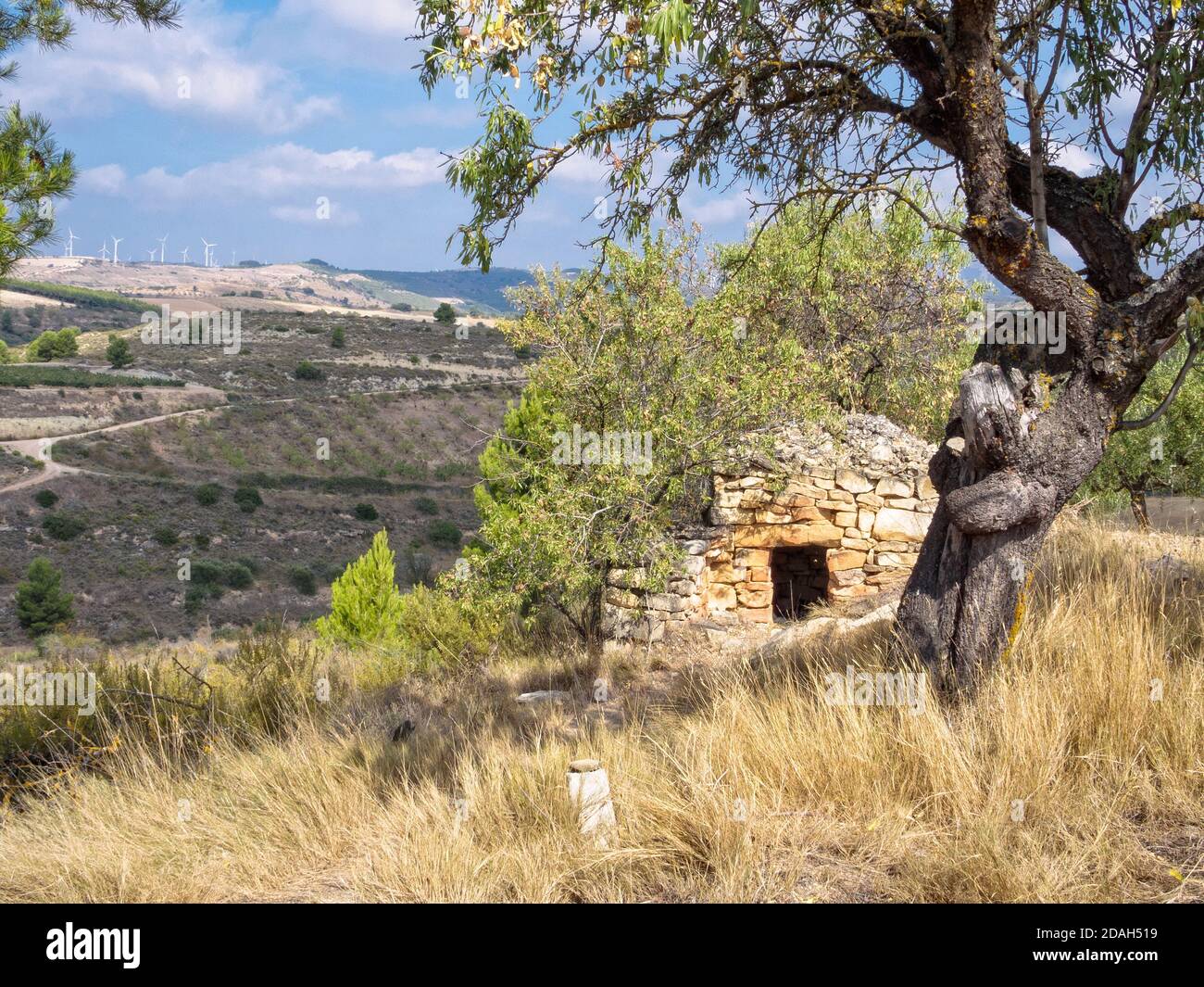 Pastore della pietra shelter in collina - Viana, Navarra, Spagna Foto Stock