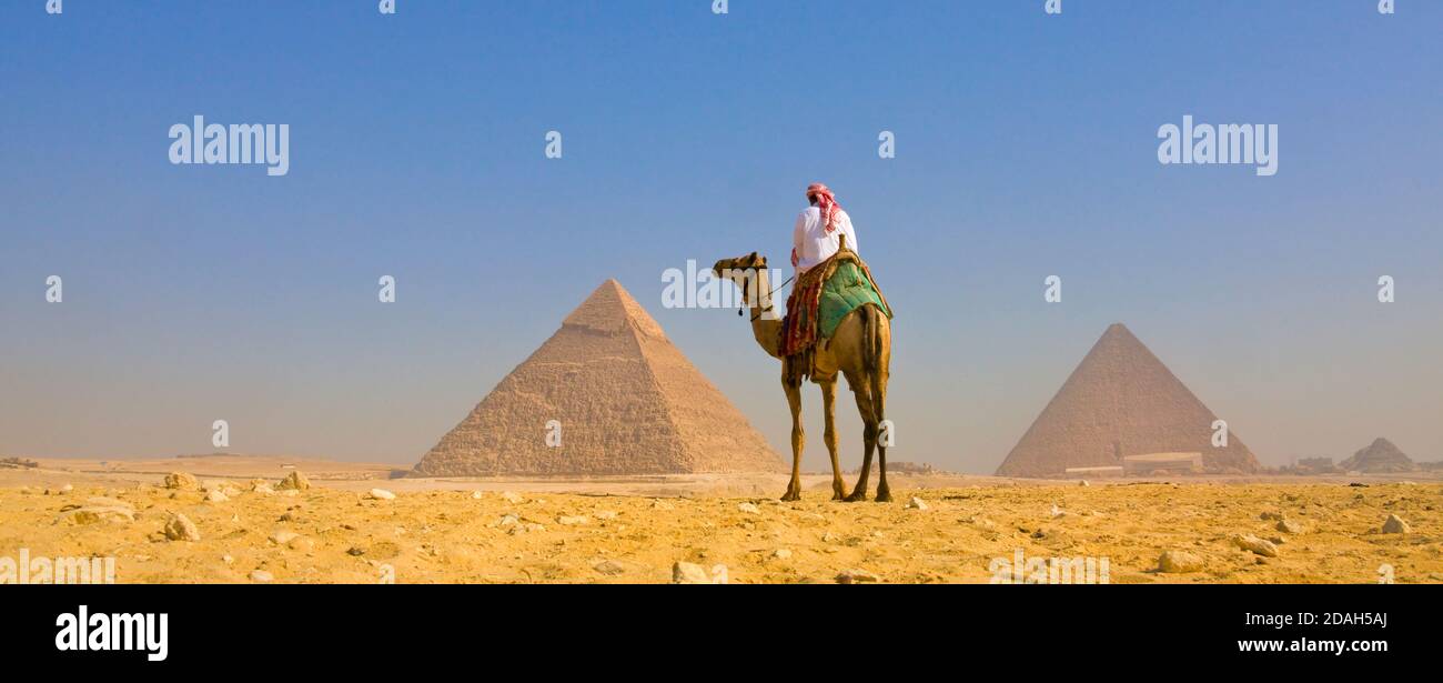 Cavaliere di cammello con la Grande Piramide di Giza all'alba, sito patrimonio dell'umanità dell'UNESCO, Giza, governatorato del Cairo, Egitto Foto Stock