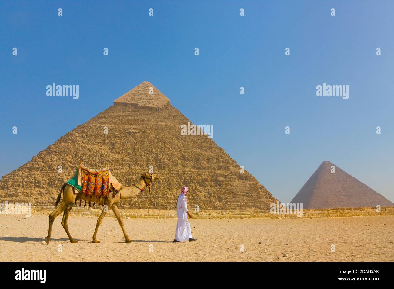 Uomo e cammello con la Grande Piramide di Giza all'alba, sito patrimonio dell'umanità dell'UNESCO, Giza, governatorato del Cairo, Egitto Foto Stock