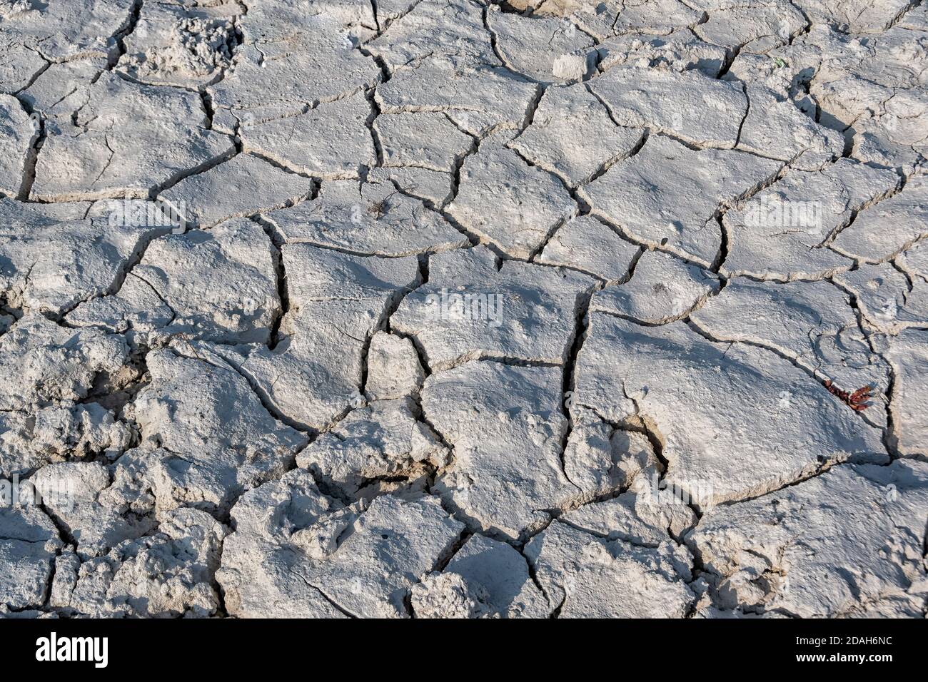 Particolare del paesaggio grigio, arida, austero, quasi arido vicino ad una piscina calda a Fountain Paint Pot nel parco nazionale di yellowstone Foto Stock