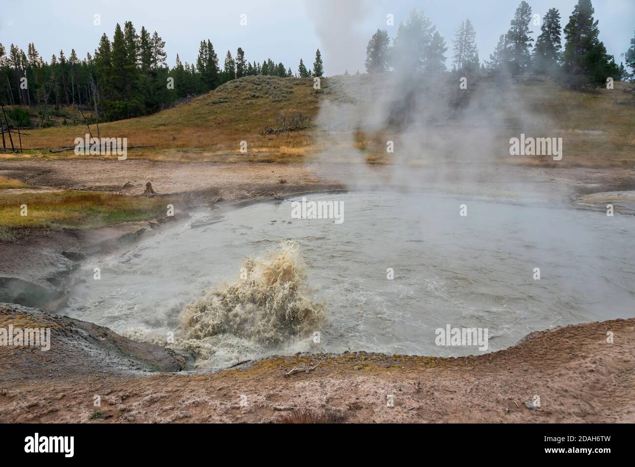 Cauldron, schiuma e fuma mentre calore e gas si innalzano dalla camera magma di Yellowstone. Foto Stock