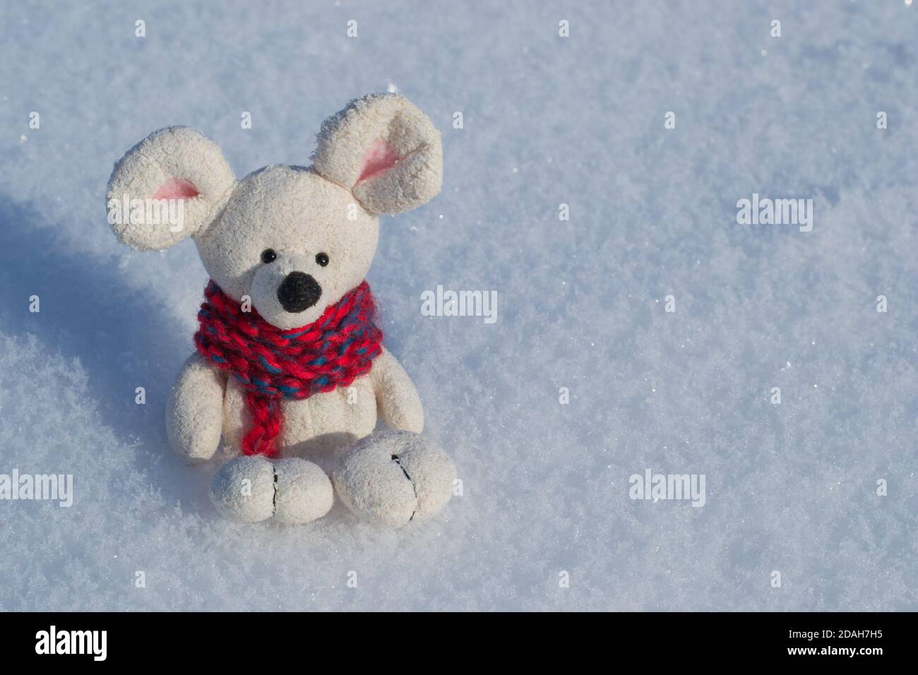 Giocattolo di Natale, un simbolo del Capodanno cinese. In una sciarpa a maglia rossa. Sullo sfondo della neve bianca. Spazio per il testo Foto Stock