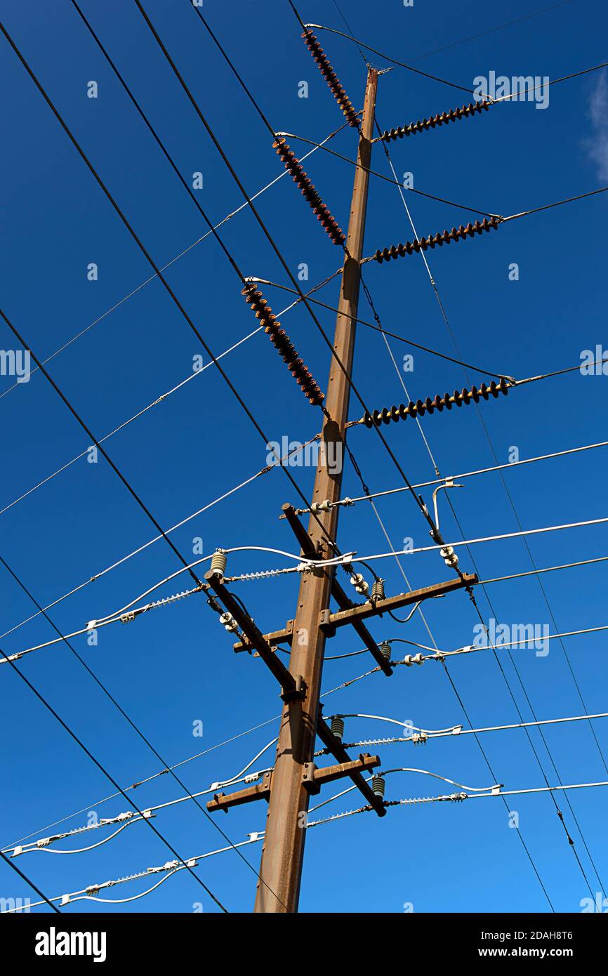 Le linee elettriche convergono su un polo. Foto Stock