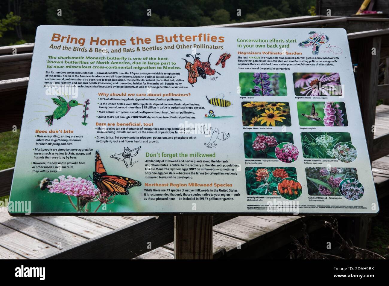 Come attrarre i pollinatori Bies, Birds, Beetles, Butterflies segno Foto Stock