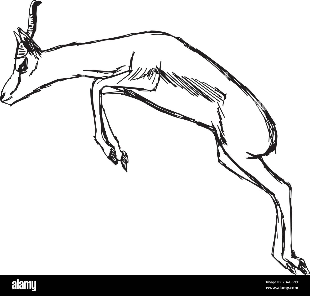 illustrazione vettore mano disegnare doodles di gazelle saltando isolato su sfondo bianco Illustrazione Vettoriale