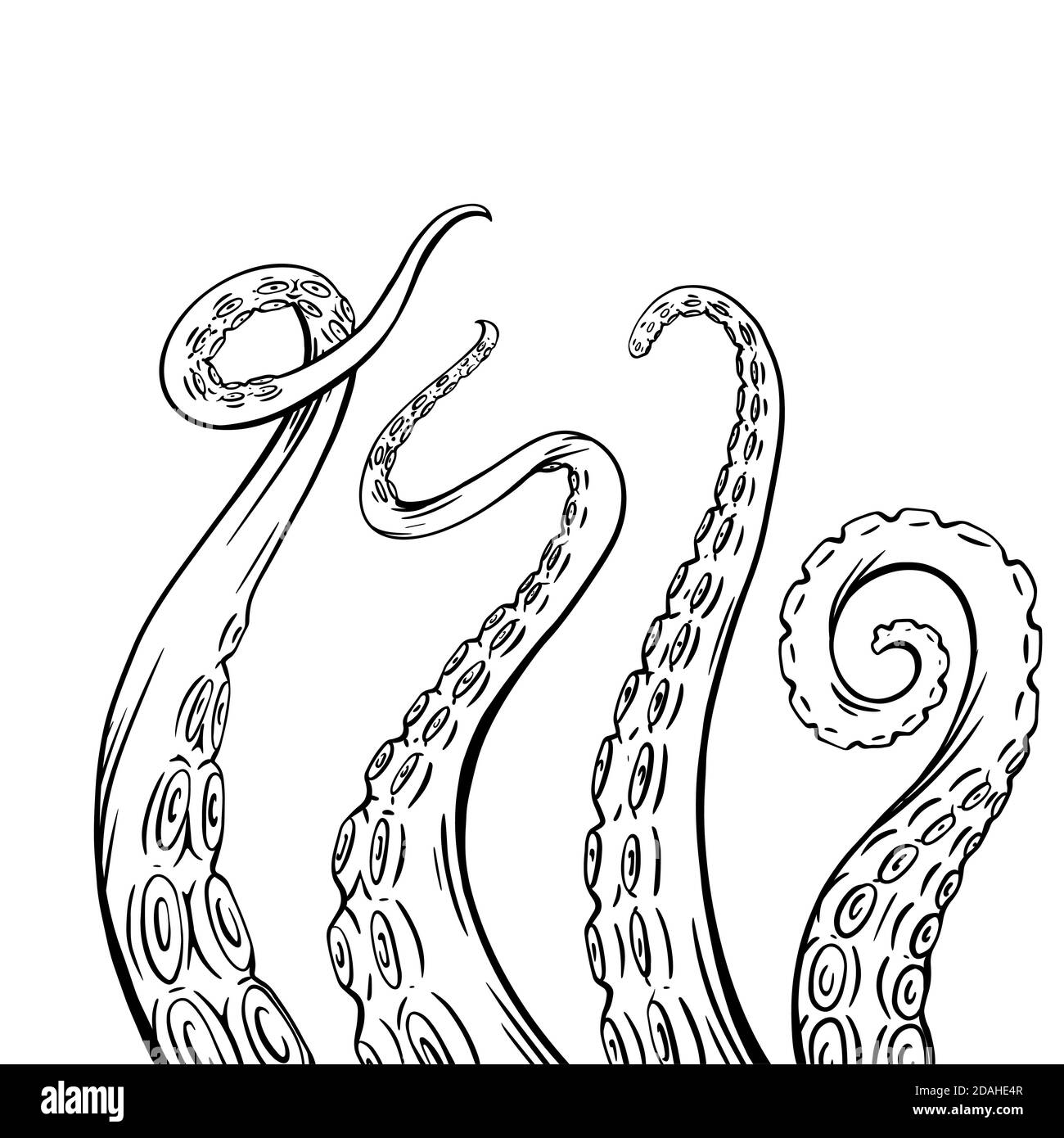 Set di bozzetti in bianco e nero con tentacoli in polpo. Membra creepy di abitanti marini. Oggetto vettoriale per loghi, tatuaggi, carte e il tuo disegno. Illustrazione Vettoriale