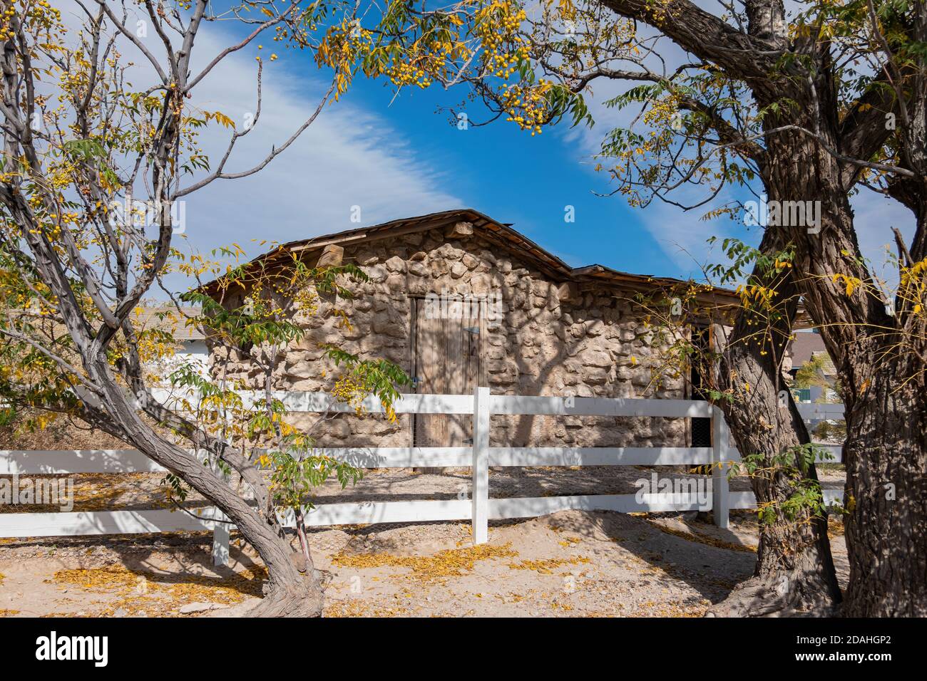 Vista mattutina del Floyd Lamb Park a Las Vegas, Nevada Foto Stock