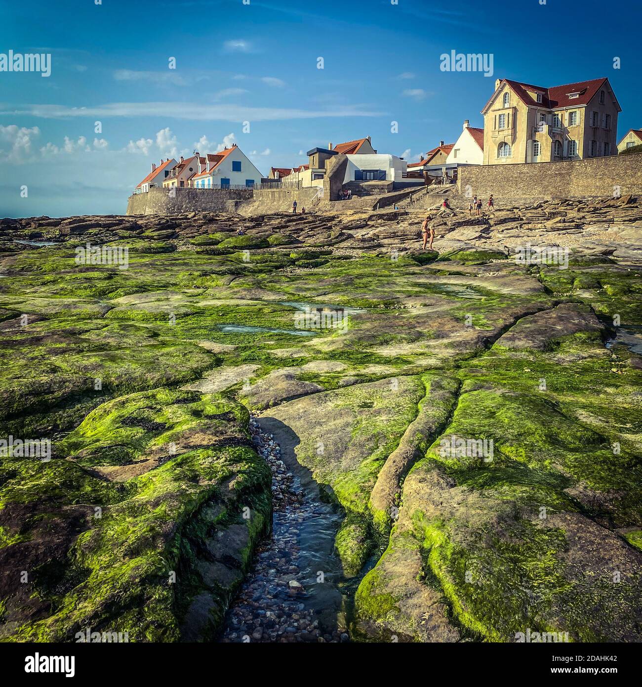 Pietre coperte da alghe verdi e case tradizionali alla spiaggia di Audresselles, Cap Gris Nez, opale costa, mare del nord, Francia Foto Stock