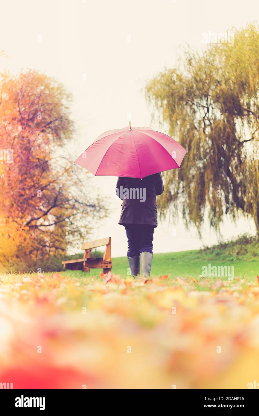 Vista posteriore della donna con ombrello isolato all'aperto a piedi nella campagna autunnale con foglie caduti in primo piano. Foto Stock