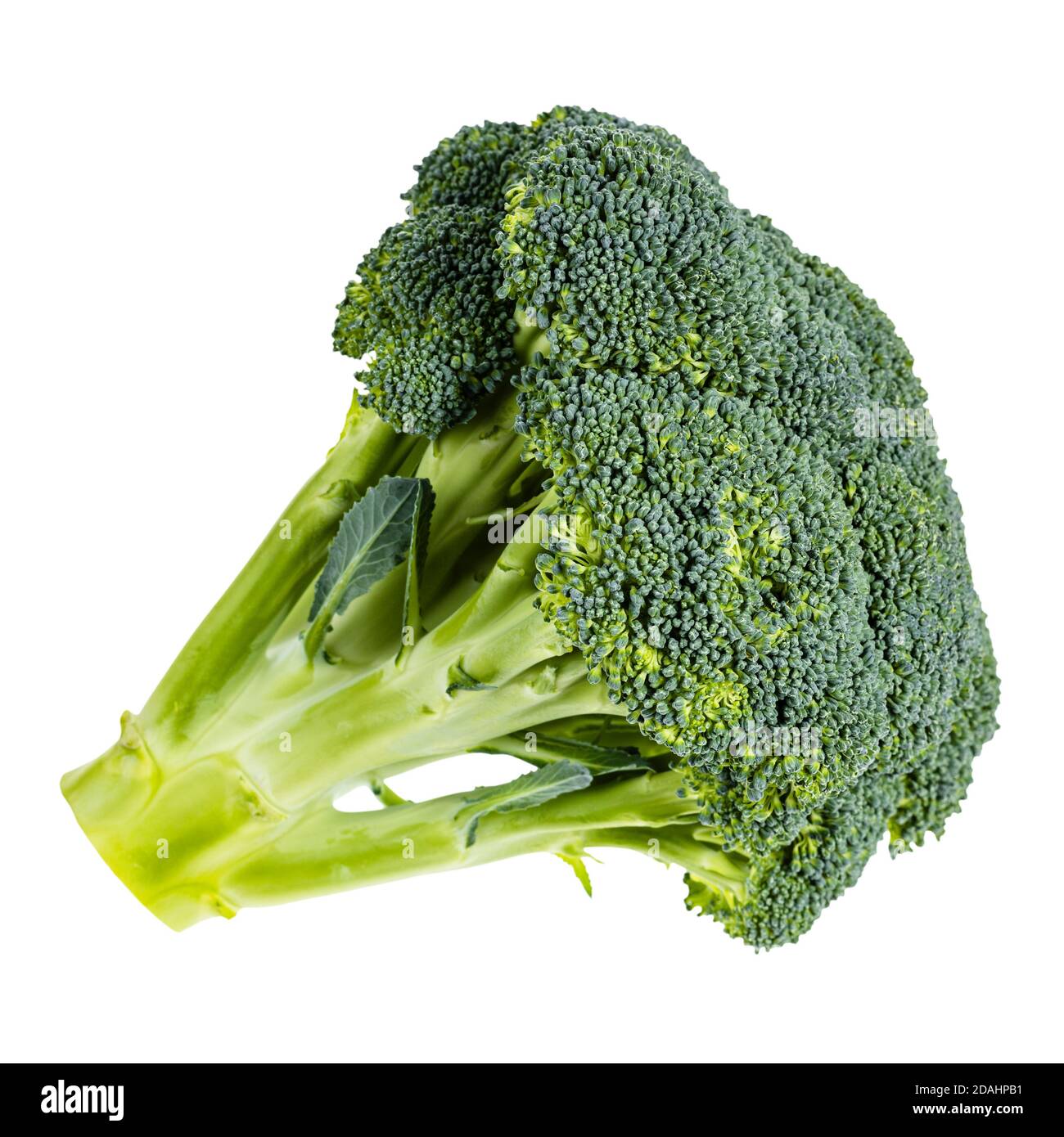 Pezzo di Broccoli fresco verde isolato su sfondo bianco Foto Stock