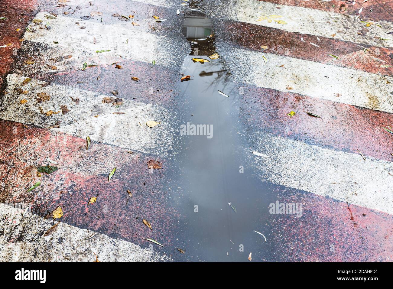 fango pioggia puddle sulla superficie di fuoco della strada che segna in città il giorno d'autunno Foto Stock