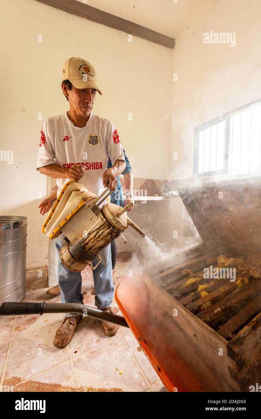 CHARAGUA, BOLIVIA - 31 luglio 2013: Charagua, Santa Cruz / Bolivia - 30 2013 luglio: Uomo marrone con le caratteristiche indigene Fumigate per tenere i Bees via Foto Stock