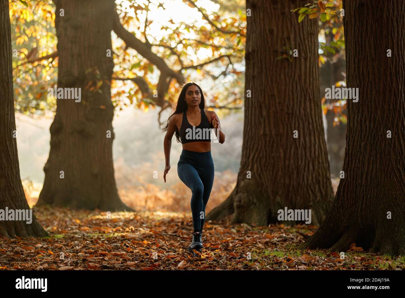 Una donna di discendenza asiatica che corre in una foresta Foto Stock