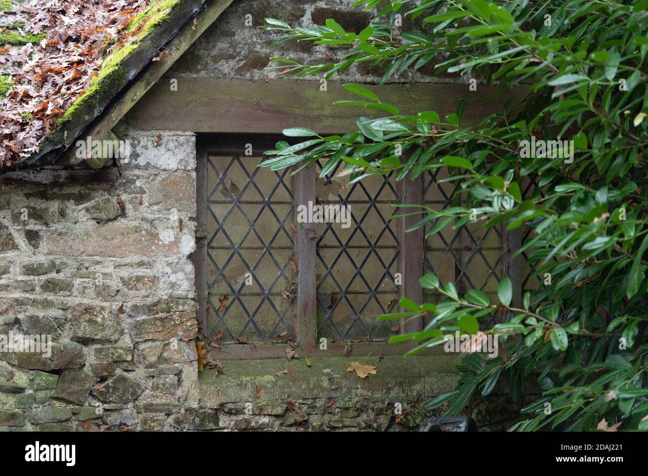 Luci piombo finestre in vecchio cottage Regno Unito Foto Stock