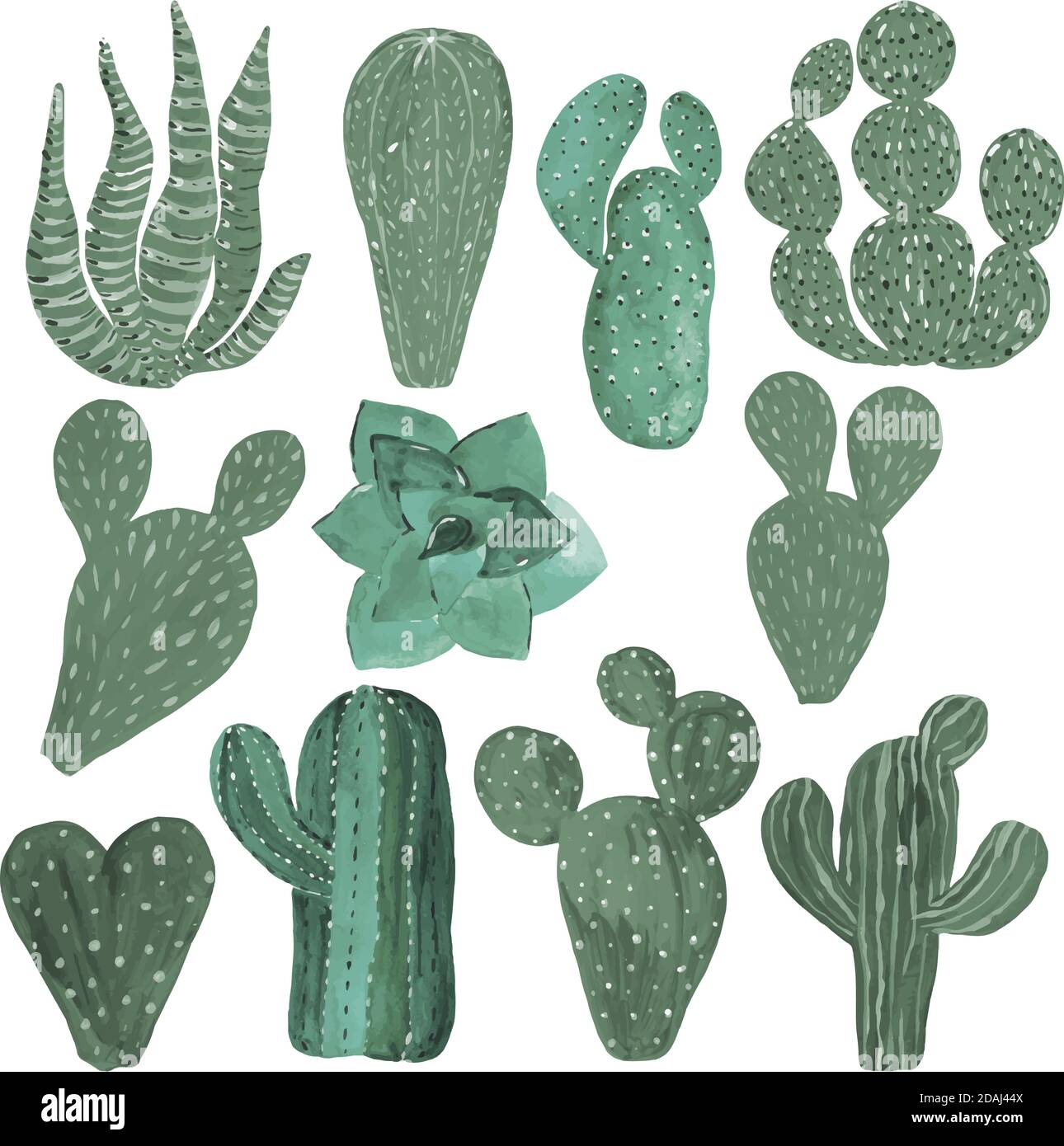 Cactus dipinto a mano illustrazione su sfondo bianco esotico pianta desertica. Pianta di stanza per arredamento domestico Illustrazione Vettoriale