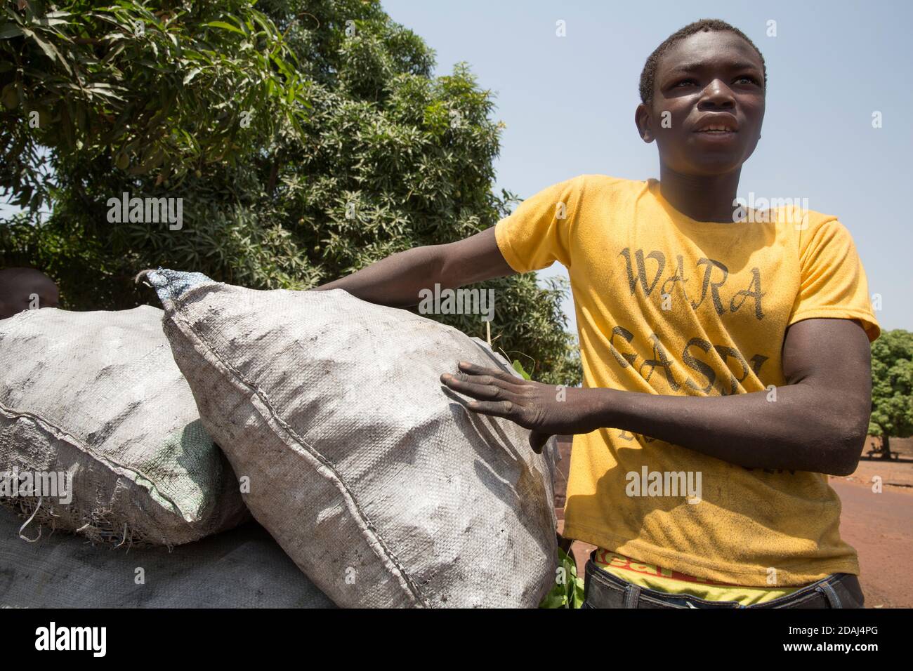 Selingue, Mali, 25 aprile 2015; Sayo Keita, 17, venditore di carbone, lavora con suo fratello. Ha lasciato la scuola recentemente, ha ottenuto al nono grado. Foto Stock
