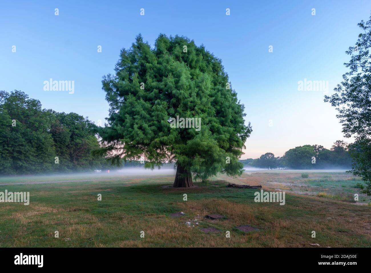 Dienstleistungen im Bereich Foto Stock