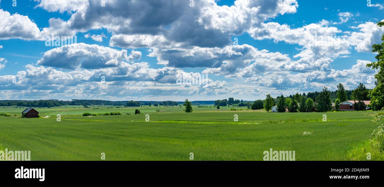 Paesaggio di campagna in estate, Finlandia sudoccidentale Foto Stock