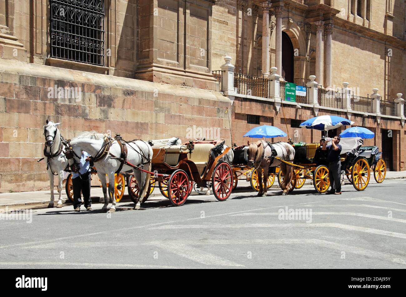 Carrozze trainate da cavalli fuori della Cattedrale (Catedral la Manquita) parete sud, Malaga, Spagna. Foto Stock