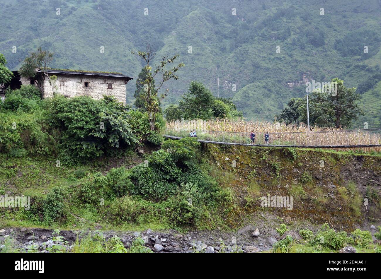 Le studentesse locali vanno dalla scuola su un ponte sospeso tra montagne boscose nelle vicinanze di Jomsom in Nepal. Foto Stock