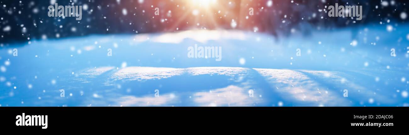 Inverno neve sfondo con neve frizzante in giornata di sole nevicata Foto Stock