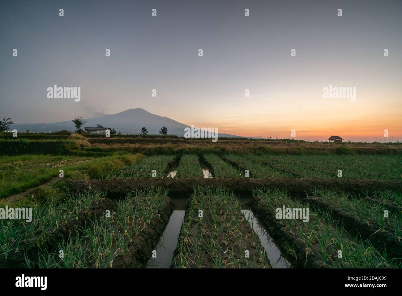 Malang e Terrazza Mojokerto Foto Stock