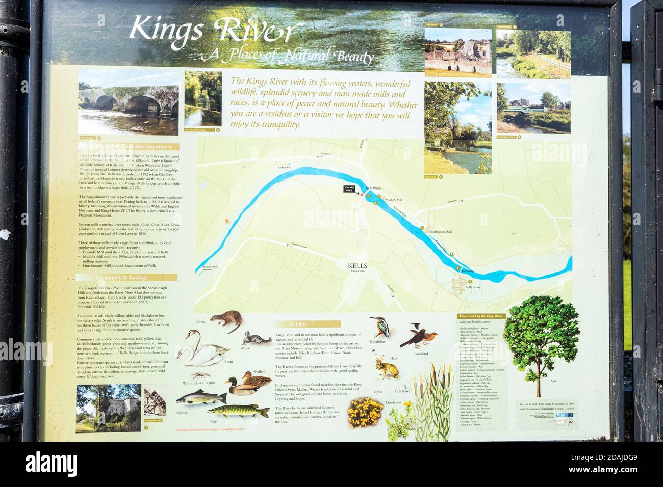 Cartello di informazione turistica con informazioni sulla vita naturale e le piante che si trovano lungo il fiume Kings a Kells, County Kilkenny, Irlanda Foto Stock
