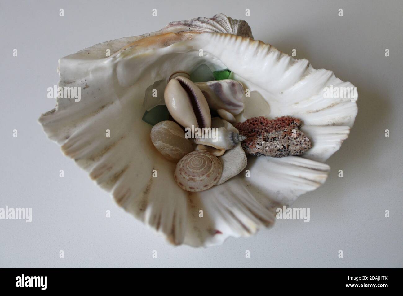 Questa mezza conchiglia contiene una piccola collezione di conchiglie, vetro marino e altri oggetti trovati durante la beachcombing. Foto Stock