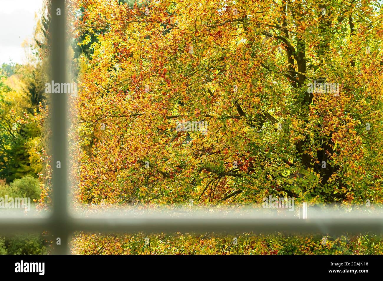 visualizzazione finestra automatica Foto Stock