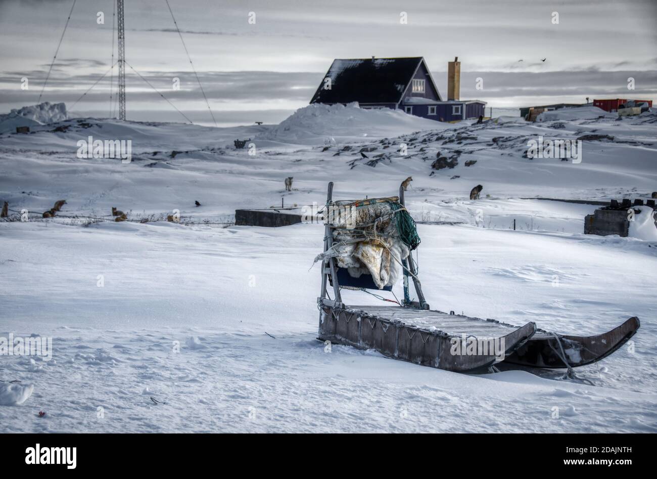 slitta per cani nella neve Foto Stock