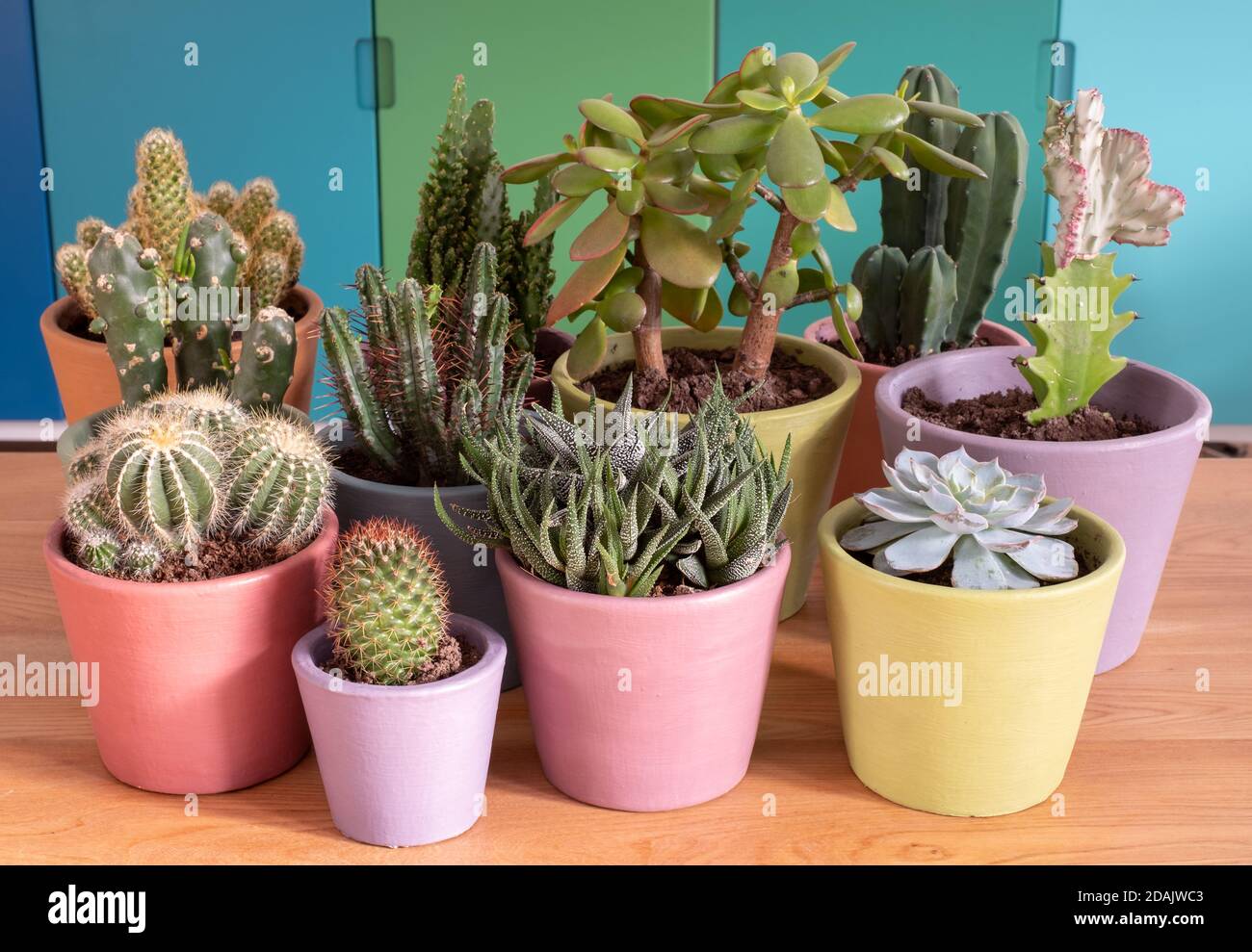 Colorati cactus e pentole succulente di piante, dipinte a mano in Annie Sloan gesso vernice. Completato come un progetto di blocco durante la pandemia di Coronavirus. Foto Stock