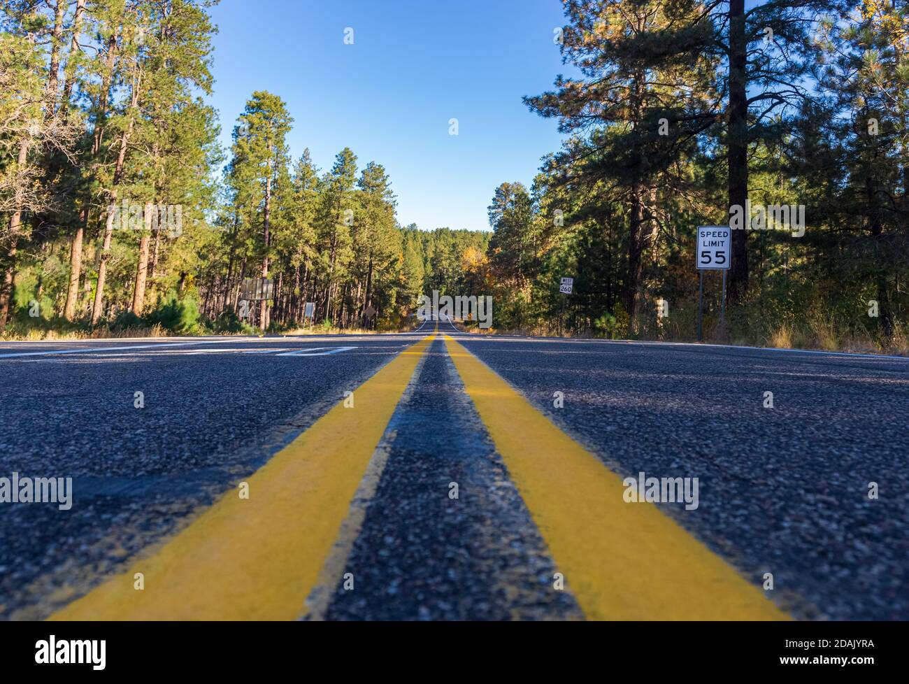Una prospettiva stradale in Coconino National Forest Arizona Foto Stock