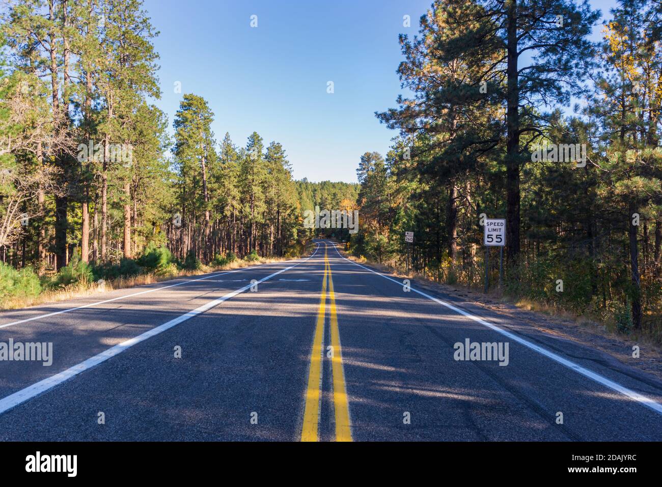 Una prospettiva stradale in Coconino National Forest Arizona Foto Stock