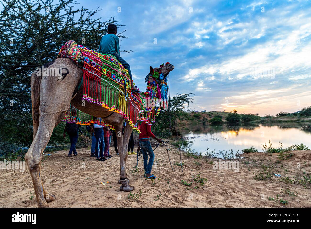 un cammello e il laghetto d'acqua e bellissimo cielo drammatico a pushkar. Foto Stock